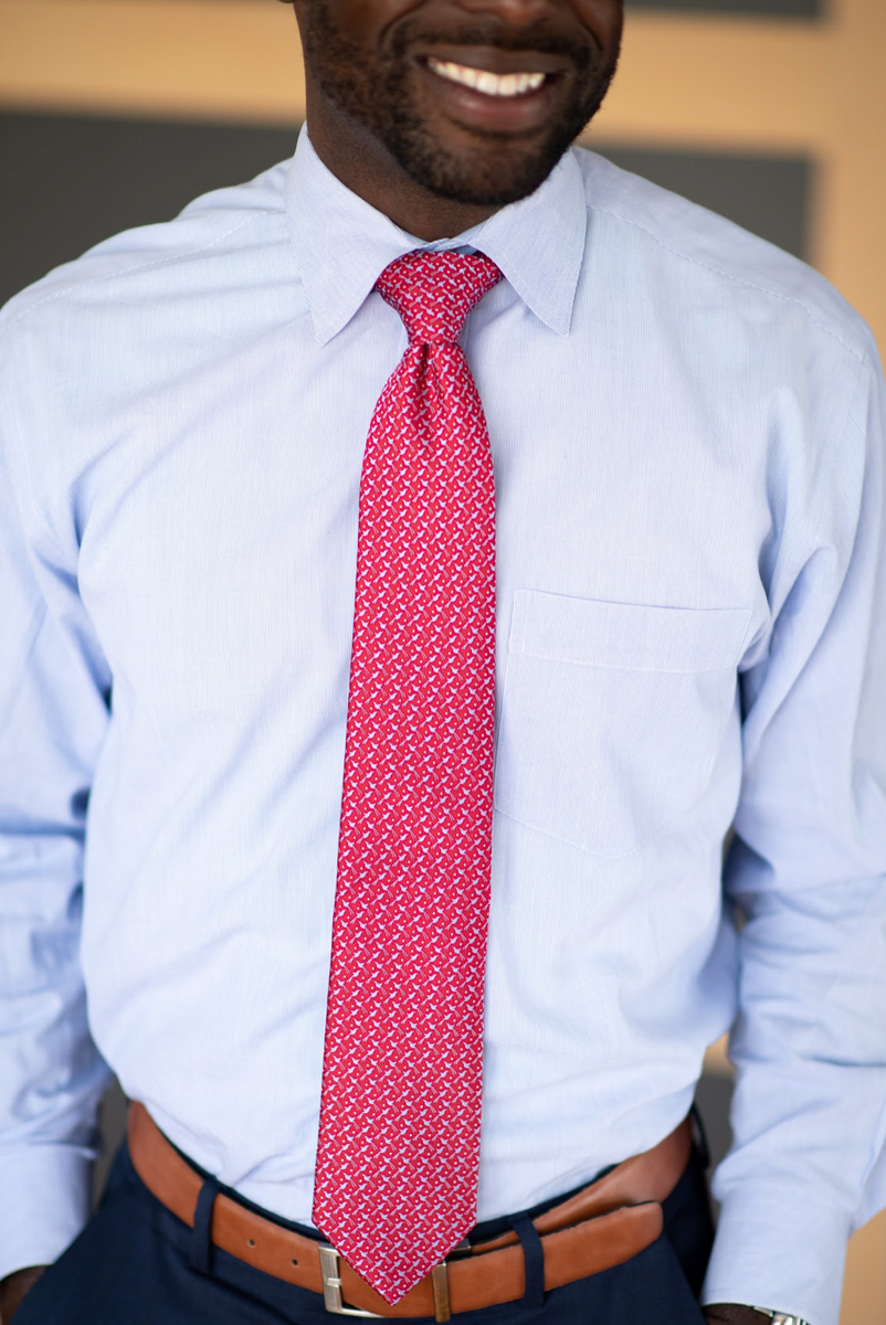 Soaring Scissortail Silk Tie – William & Lauren CO