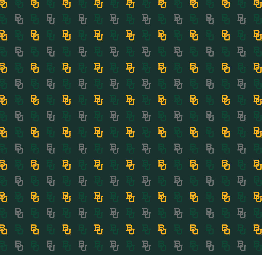Baylor BU Liner