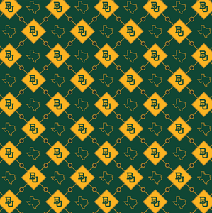 Baylor Texas Liner