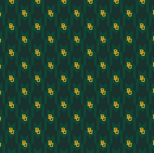 Baylor Geometric Liner