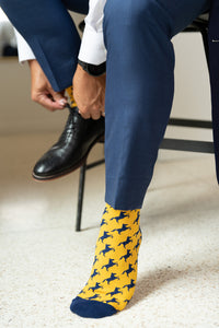 UCO gold and navy broncho sock. man tying black dress shoe